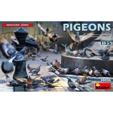 "Pigeons"